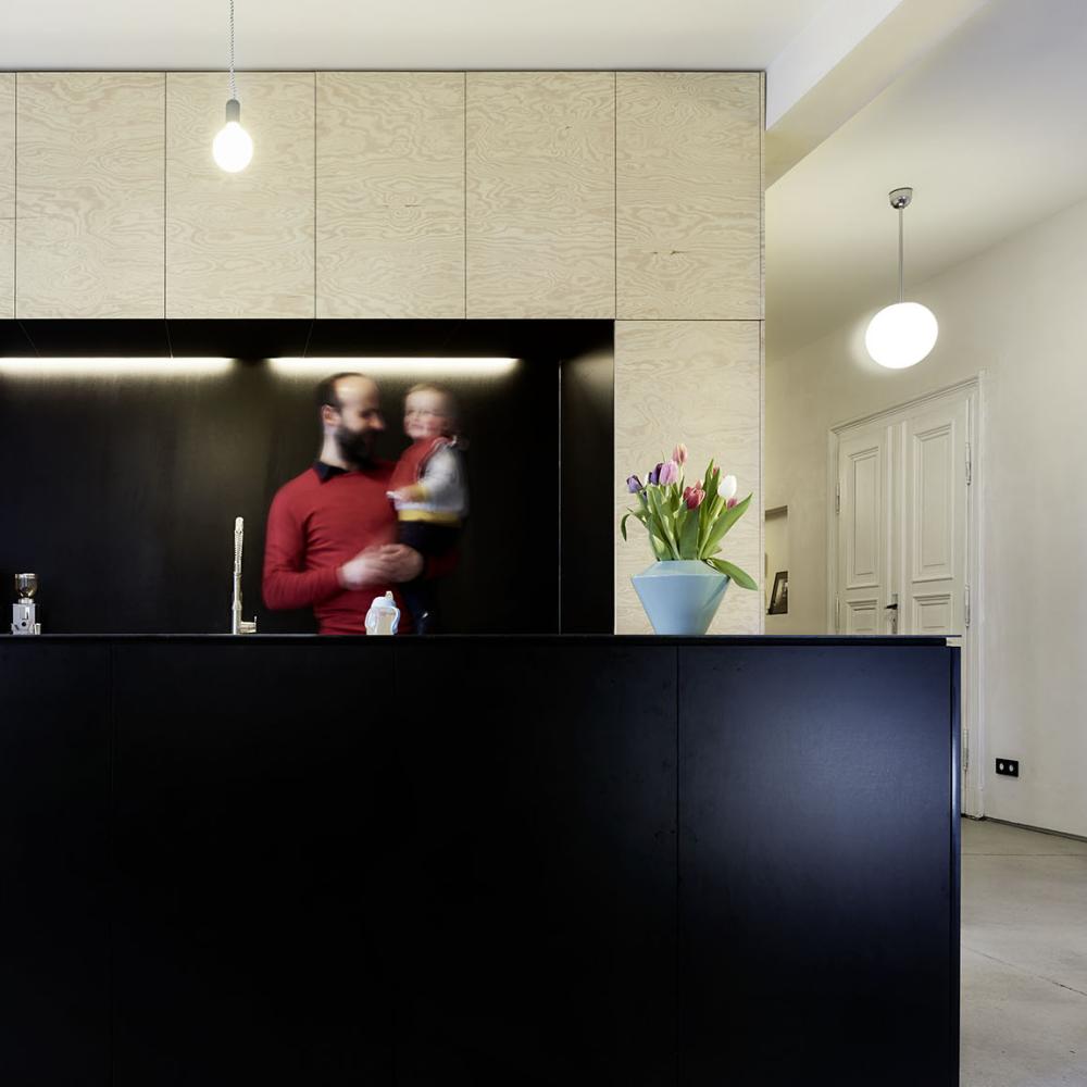 Große Loftküche, Wandverkleidung und Tapetentür